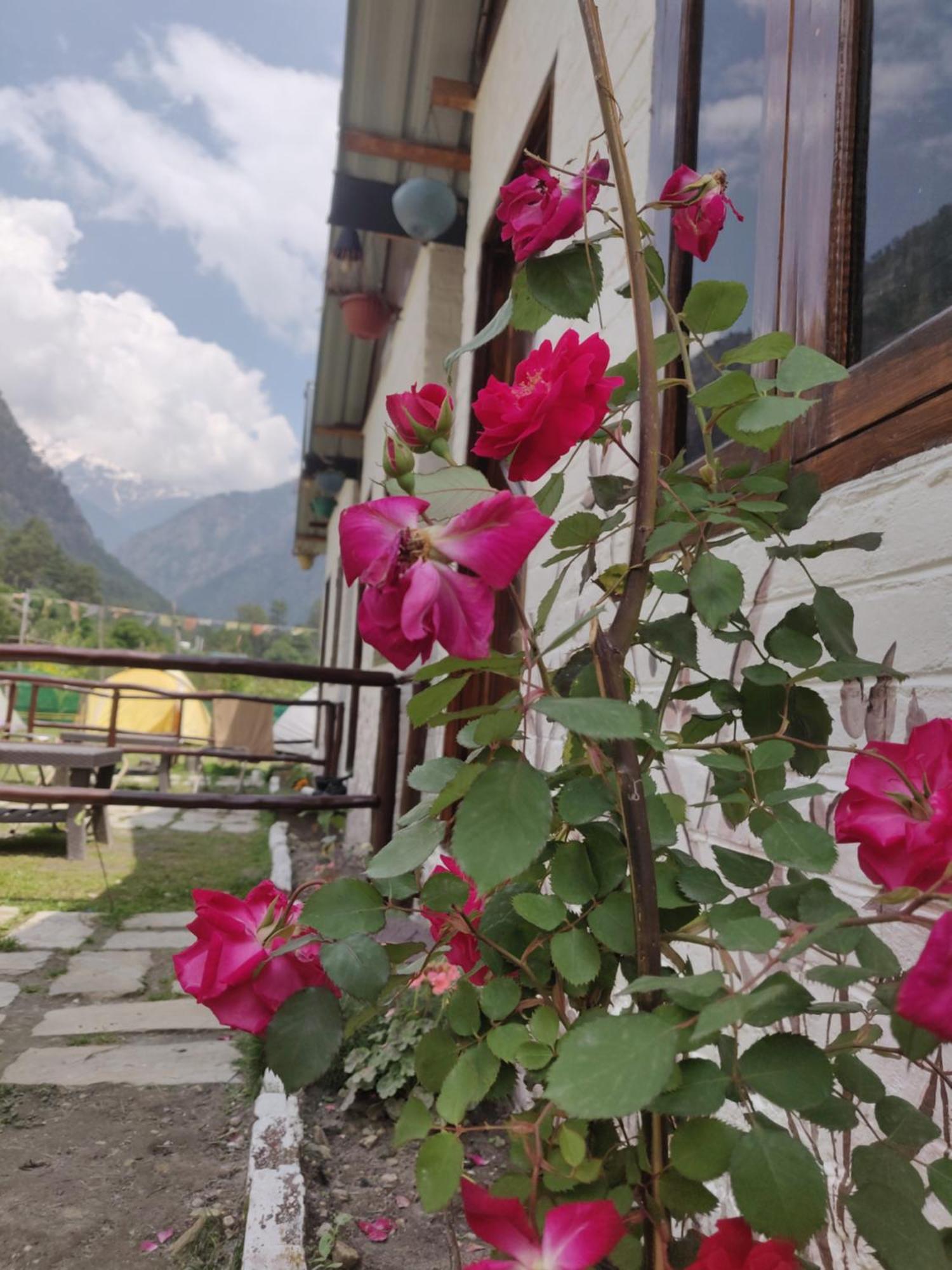 Himtrek Stays, Kasol Bagian luar foto
